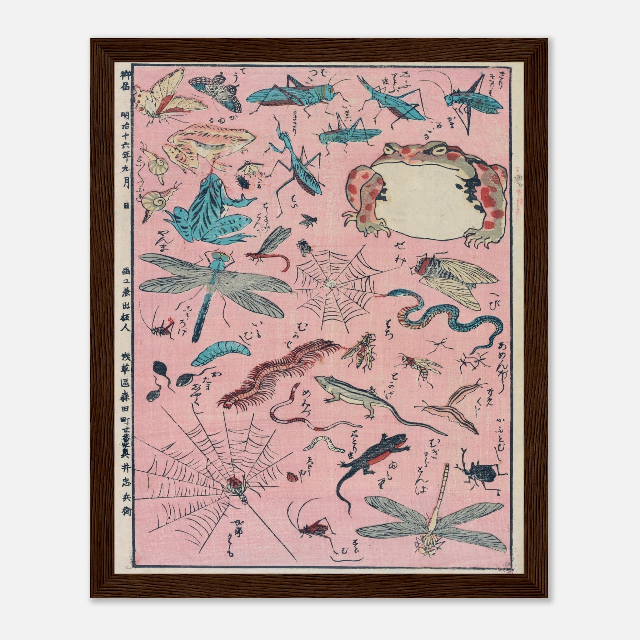 New Print of Insects and Small Creatures (Framed) - Art Print Detail 11