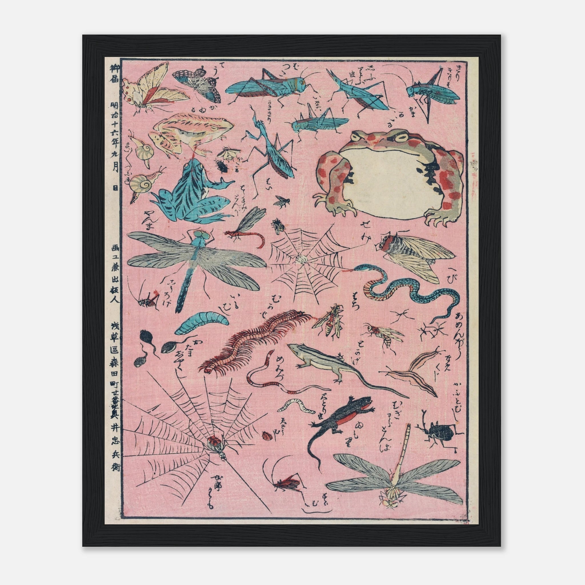 New Print of Insects and Small Creatures (Framed) - Art Print Detail 5