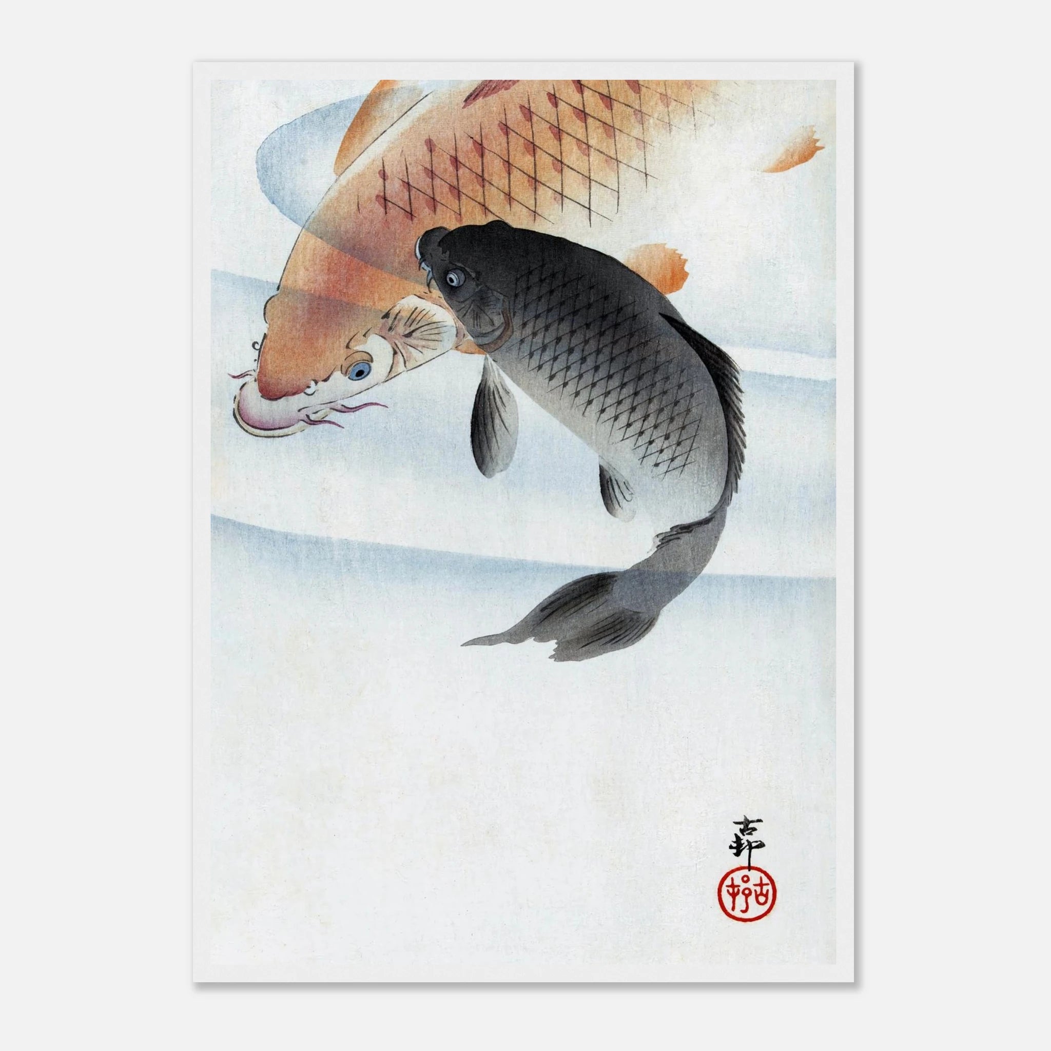Two Koi Carps - Art Print Detail 19