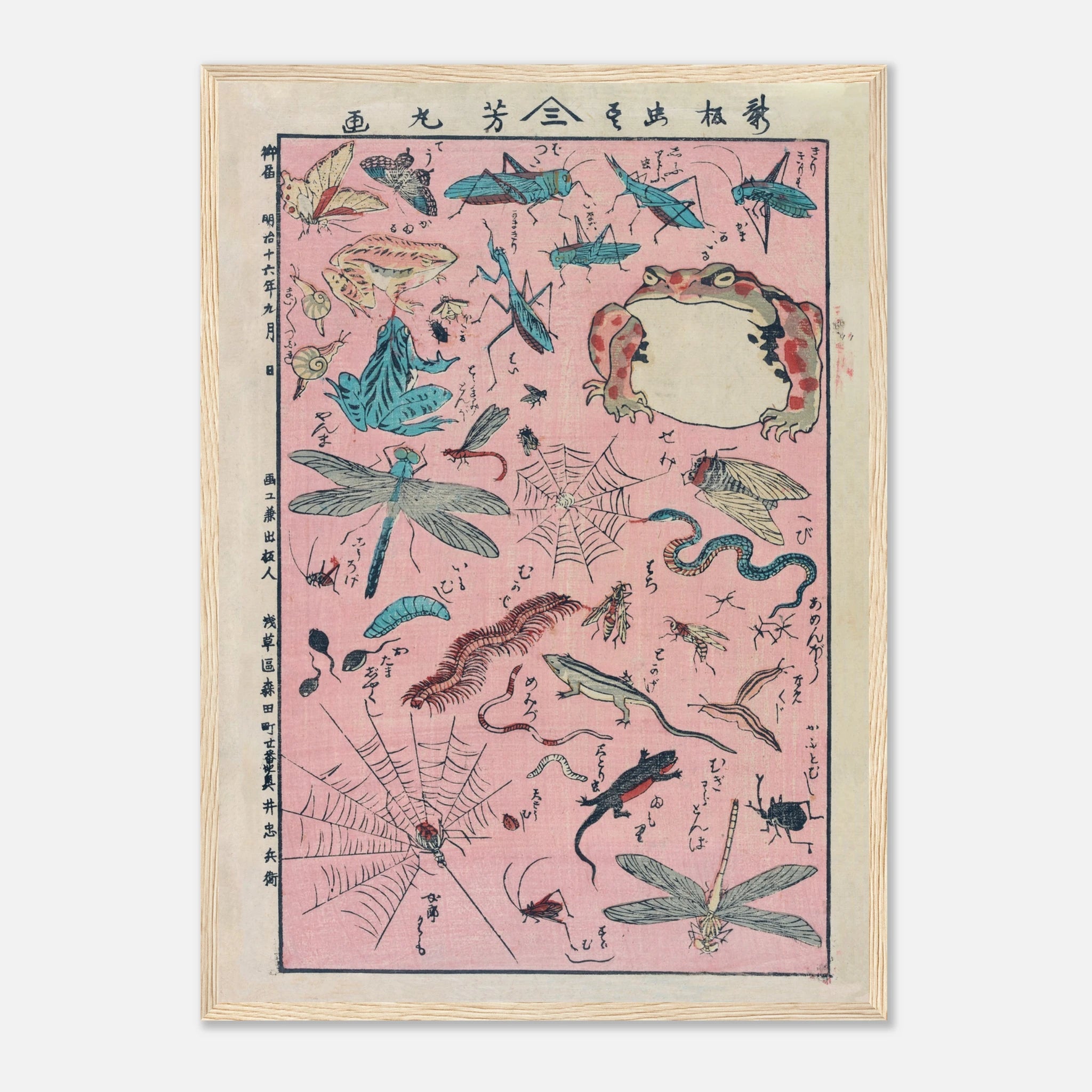 New Print of Insects and Small Creatures (Framed) - Art Print Detail 4