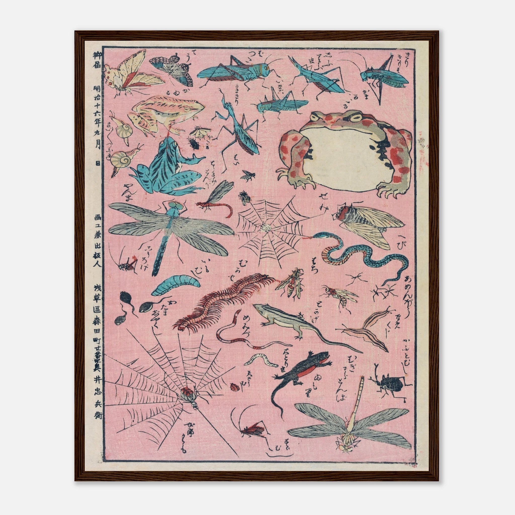 New Print of Insects and Small Creatures (Framed) - Art Print Detail 9