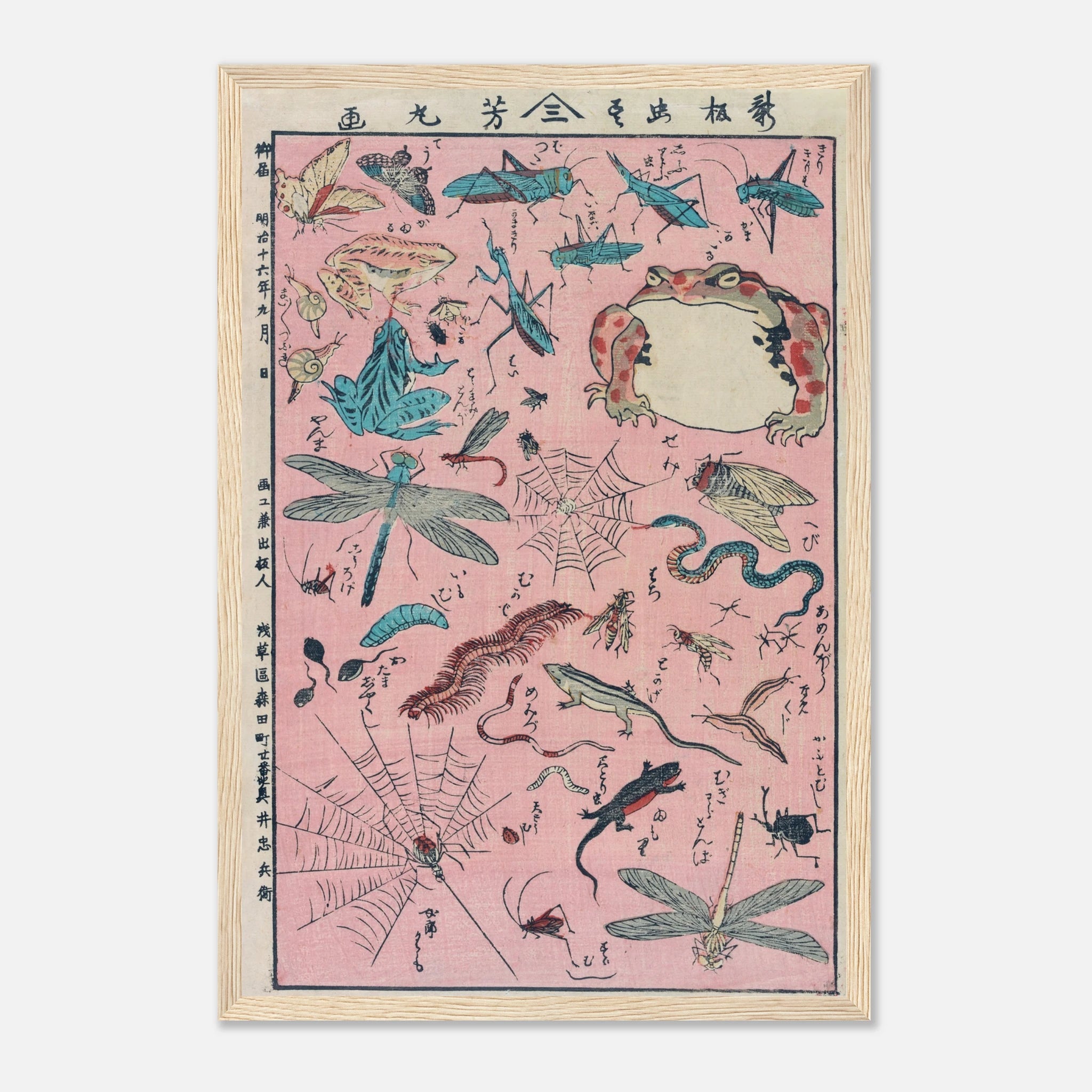 New Print of Insects and Small Creatures (Framed) - Art Print Detail 3