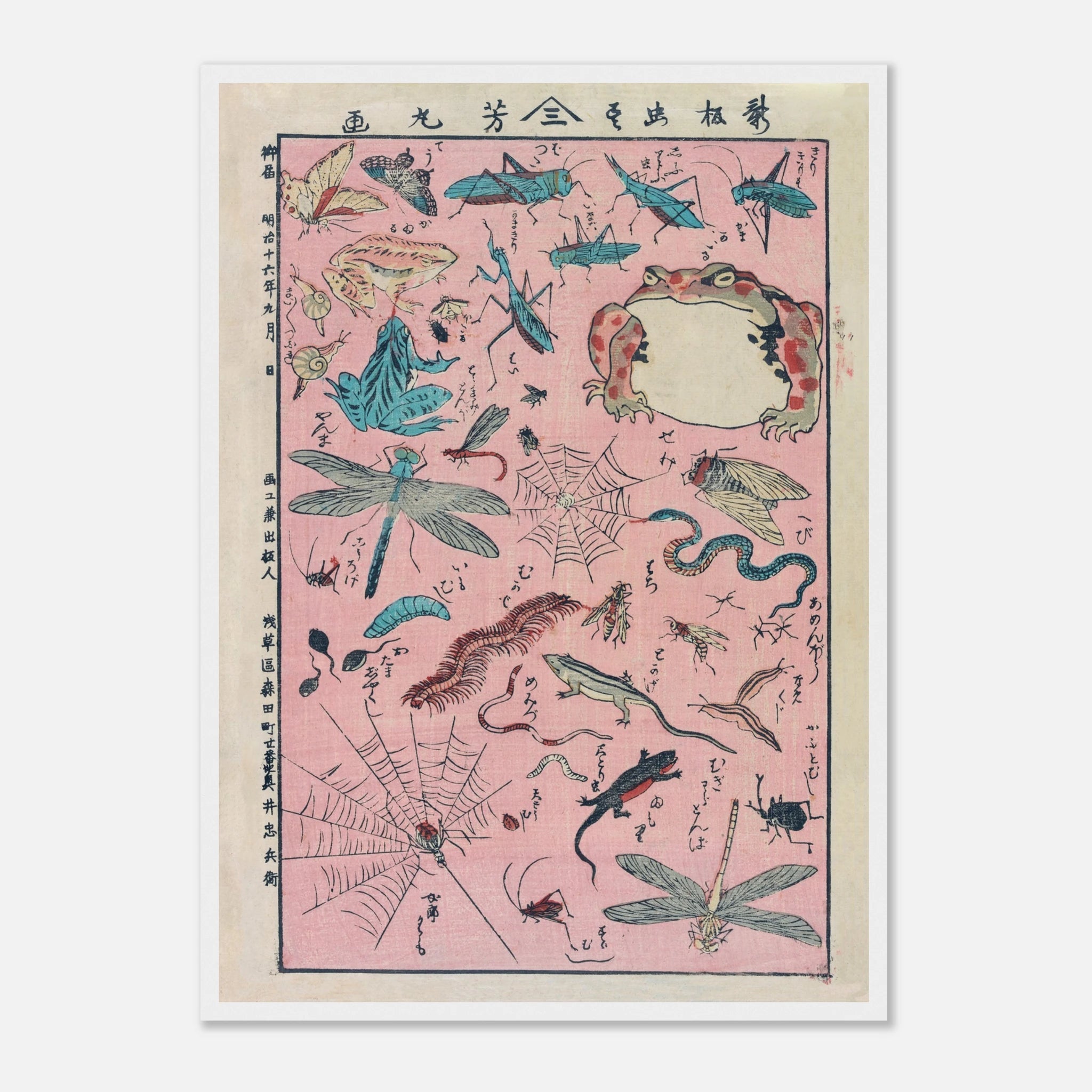 New Print of Insects and Small Creatures (Framed) - Art Print Detail 10