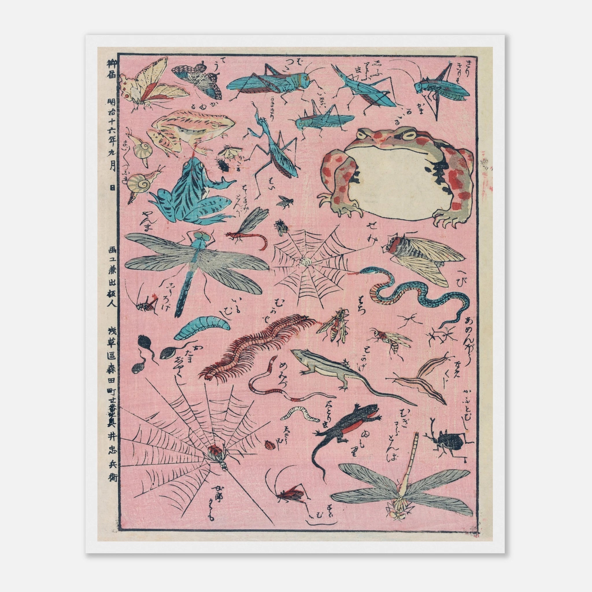 New Print of Insects and Small Creatures (Framed) - Art Print Detail 13