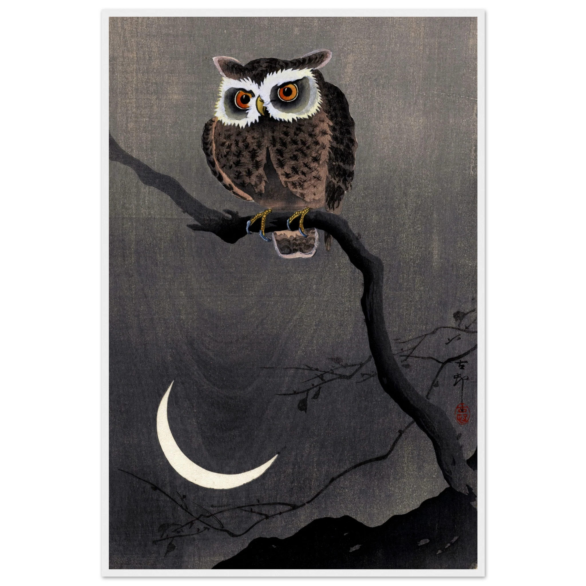 Long-eared Owl on Bare Tree Branch - Art Print Detail 18