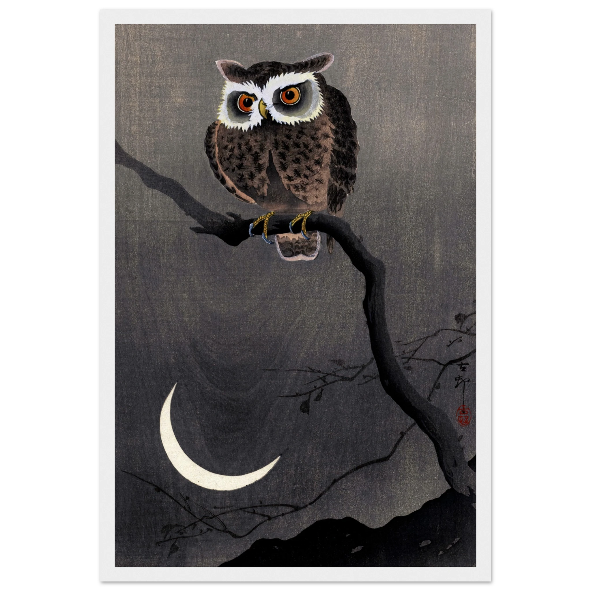 Long-eared Owl on Bare Tree Branch - Art Print Detail 5