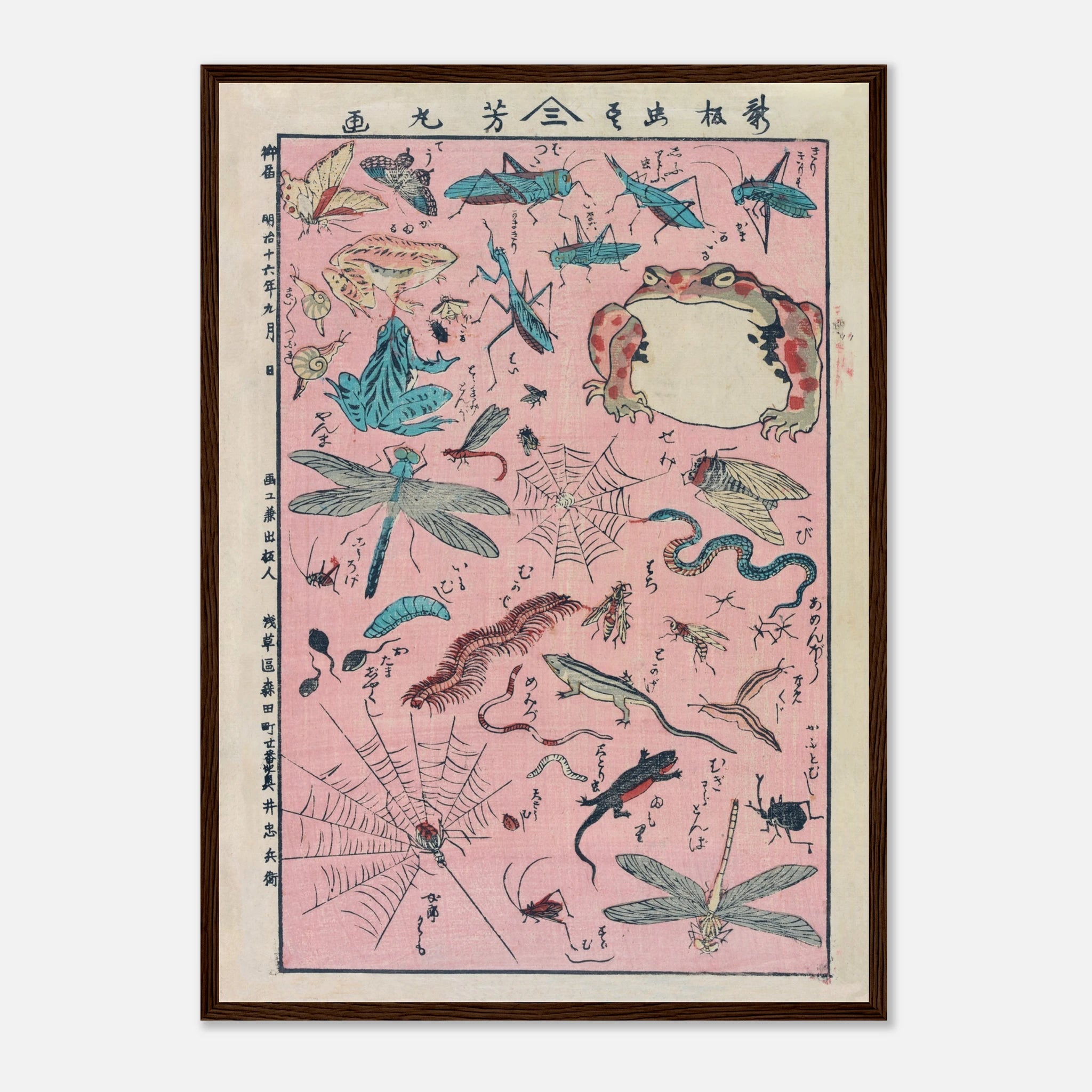 New Print of Insects and Small Creatures (Framed) - Art Print Detail 15