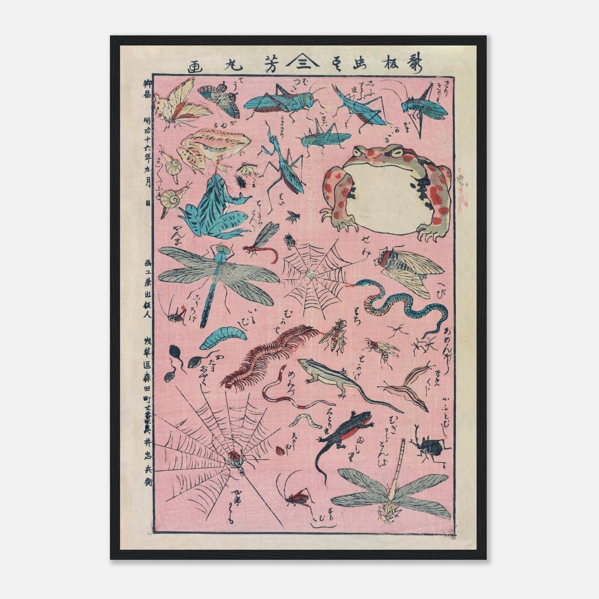 New Print of Insects and Small Creatures (Framed) - Art Print Detail 16