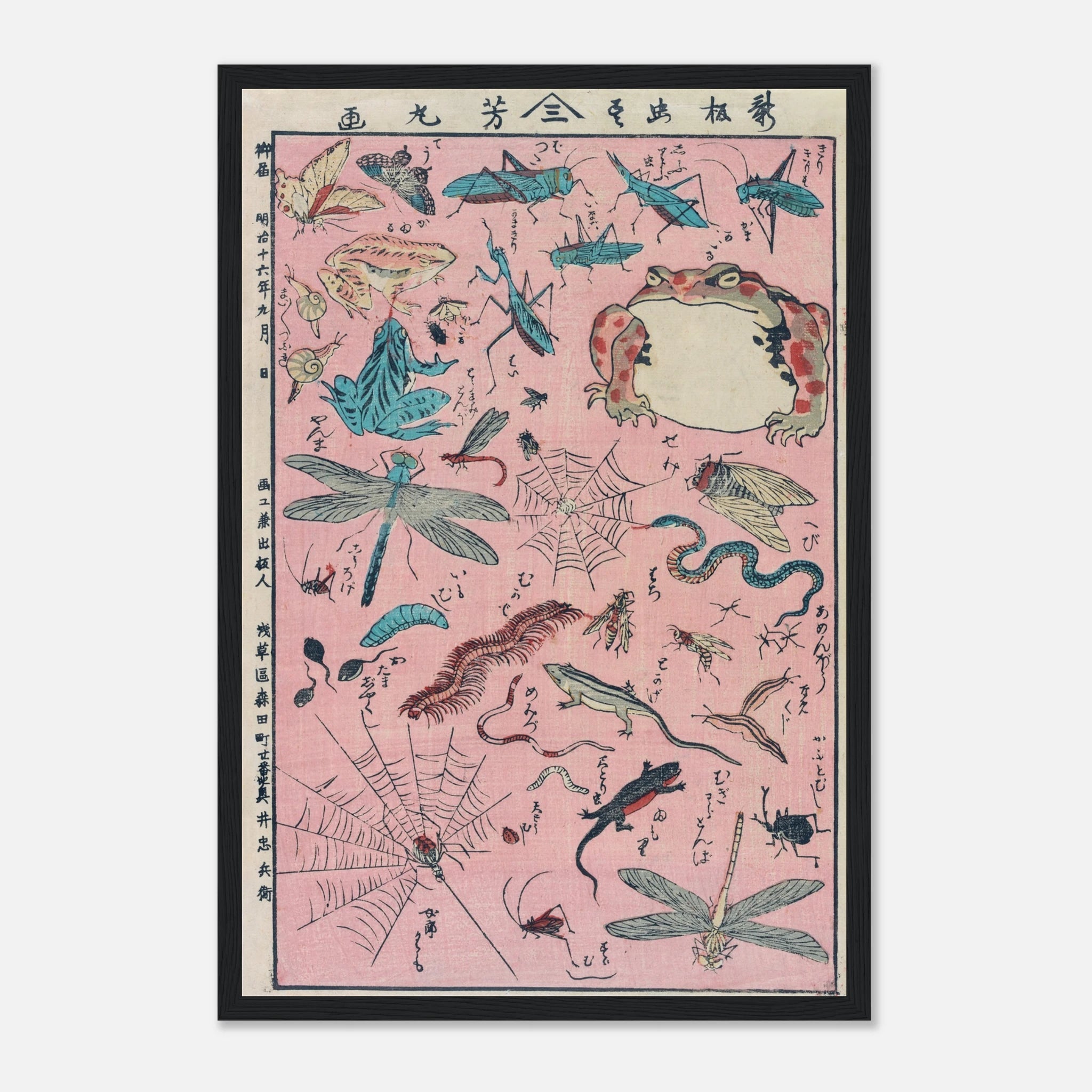 New Print of Insects and Small Creatures (Framed) - Art Print Detail 14