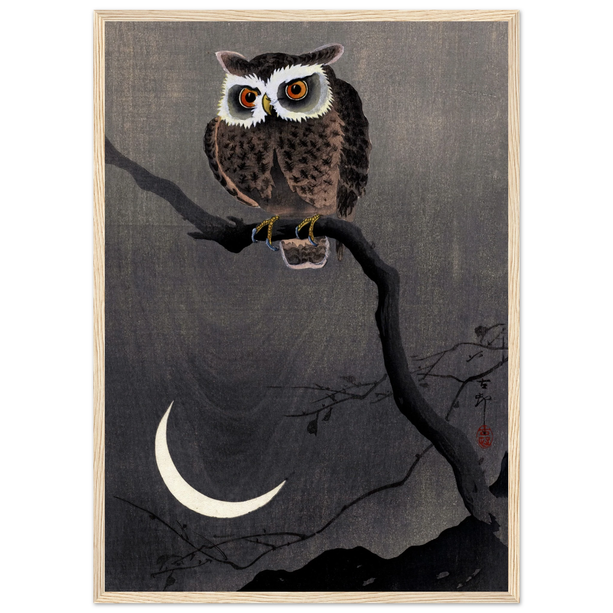 Long-eared Owl on Bare Tree Branch - Art Print Detail 16