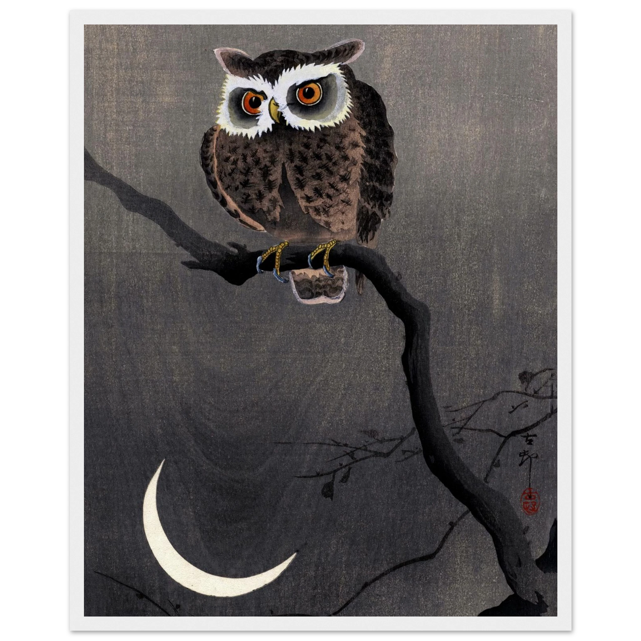 Long-eared Owl on Bare Tree Branch - Art Print Detail 11