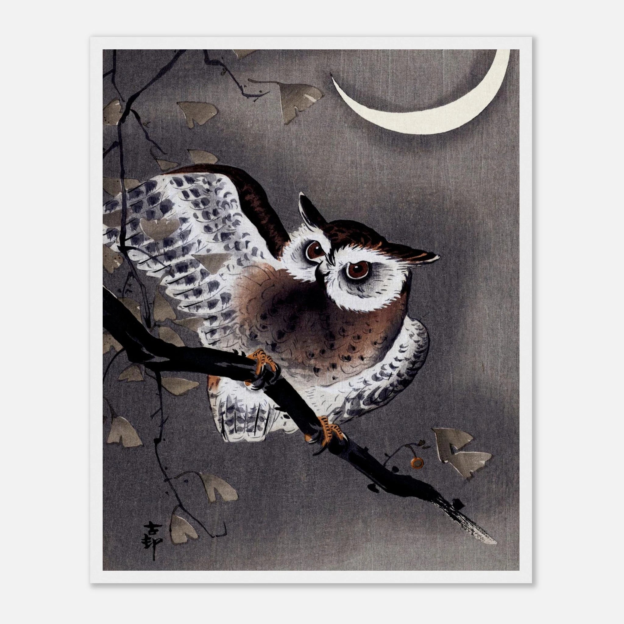 Long-Eared Owl in Ginkgo - Art Print Detail 5