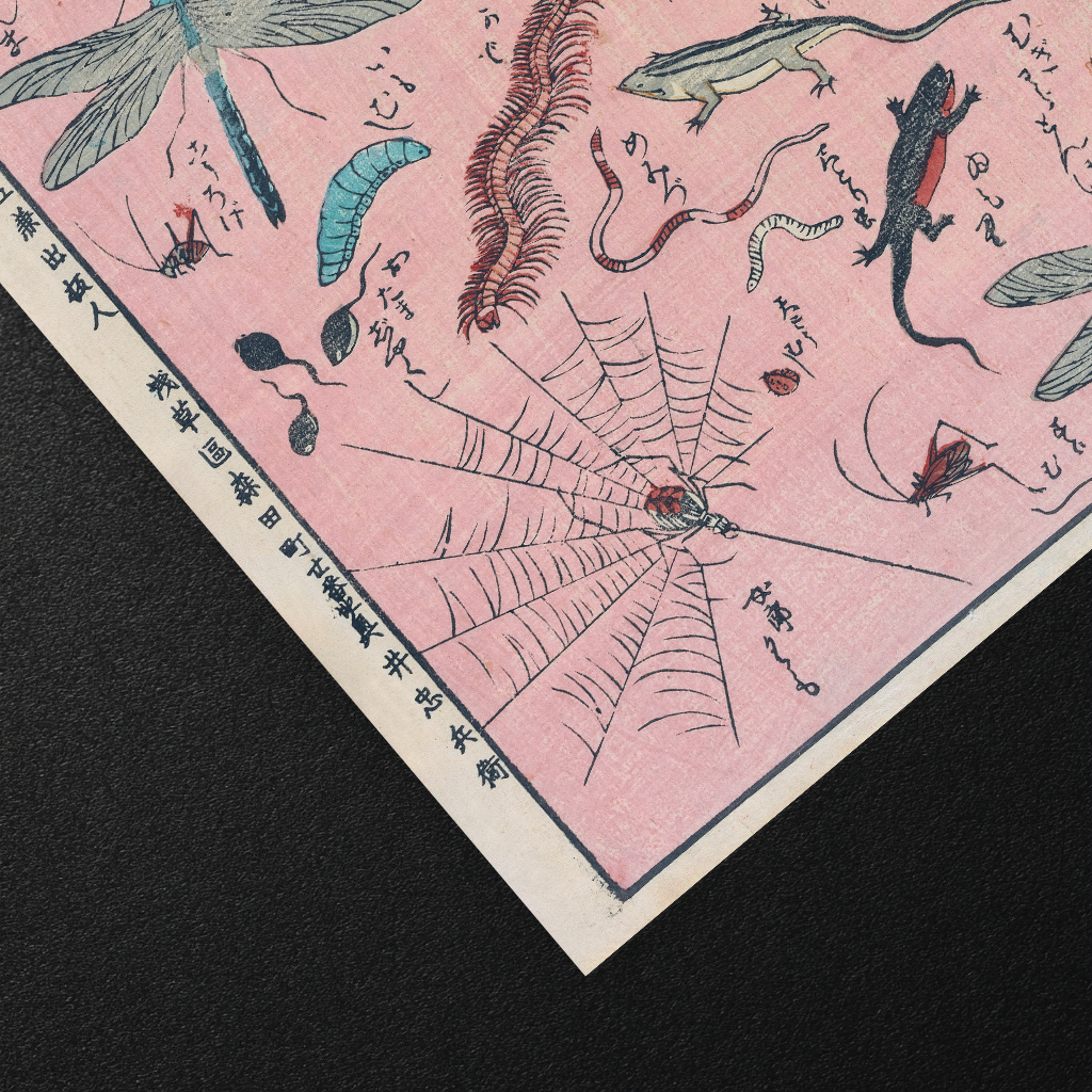 New Print of Insects and Small Creatures - Art Print Detail 2
