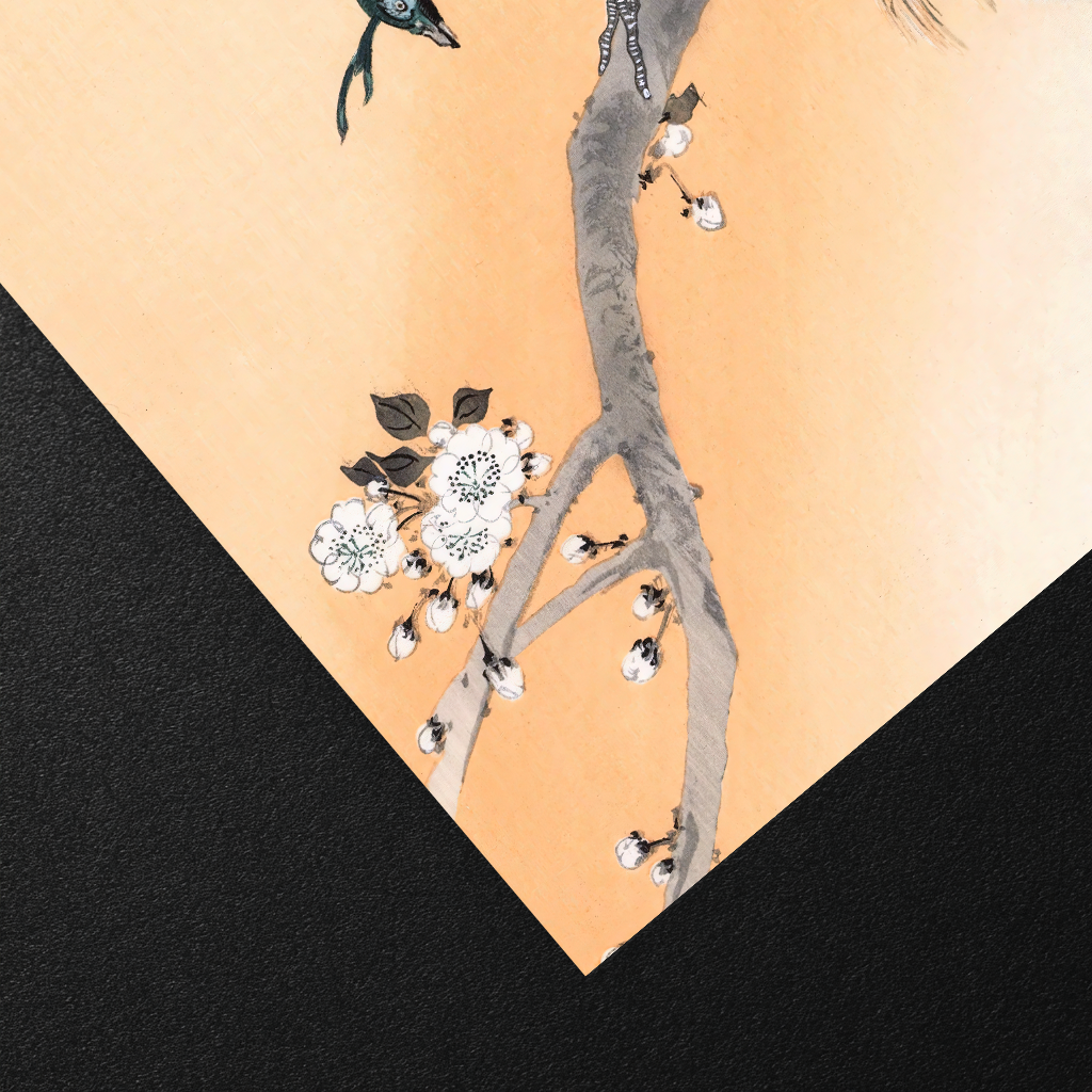 Peacock on a Cherry Blossom Tree