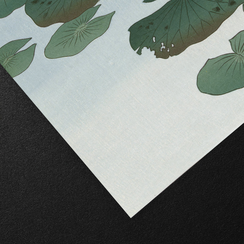 Water Lilies (睡蓮) - Art Print Detail 2