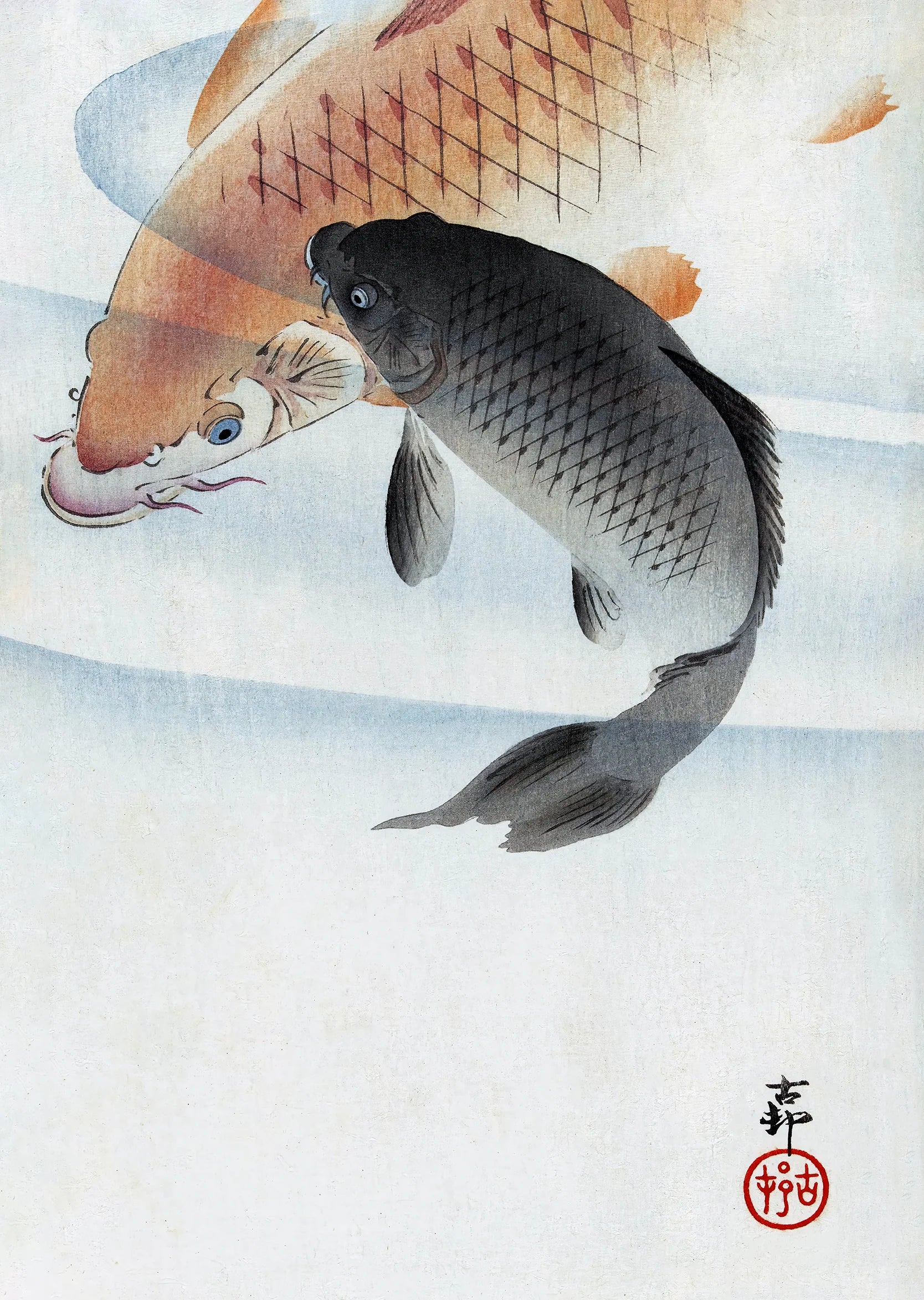 Two Koi Carps - Japanese Art Print