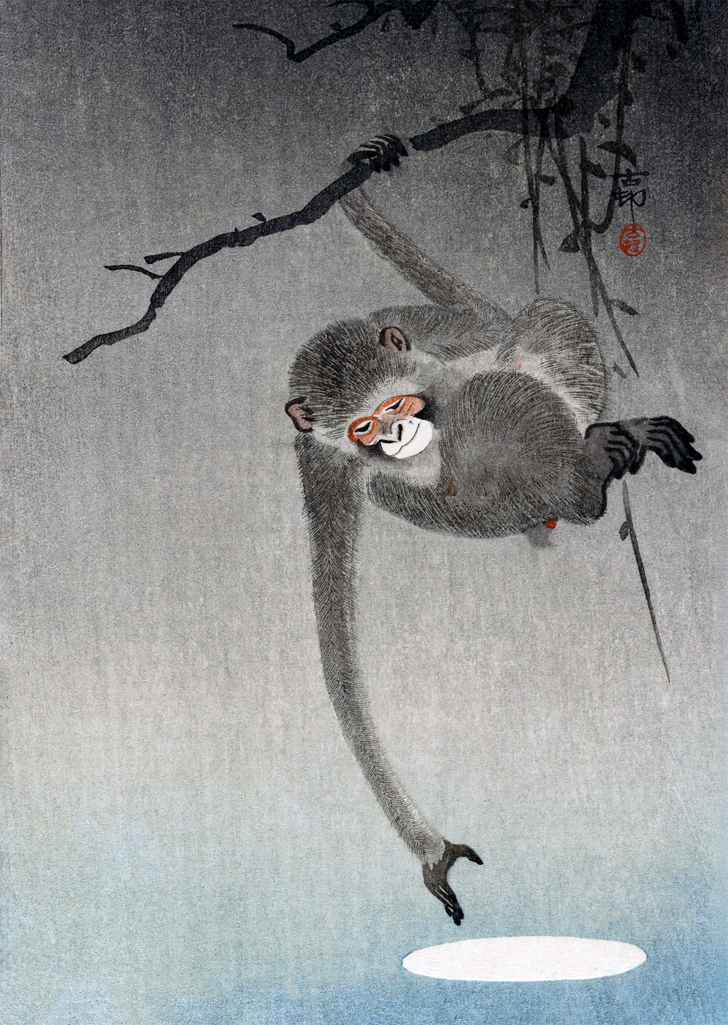 Monkey and Reflection of the Moon
