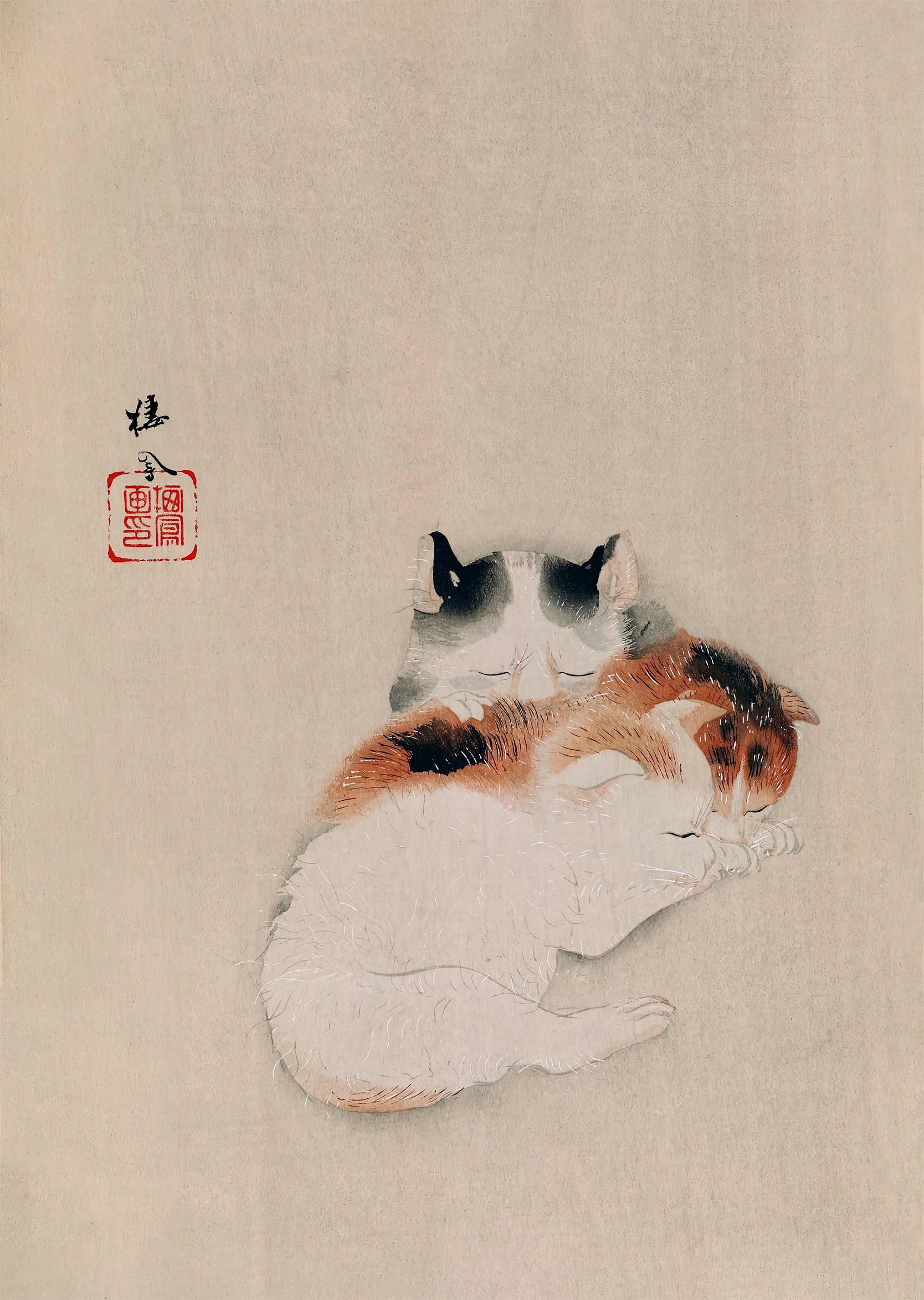 Two Cats