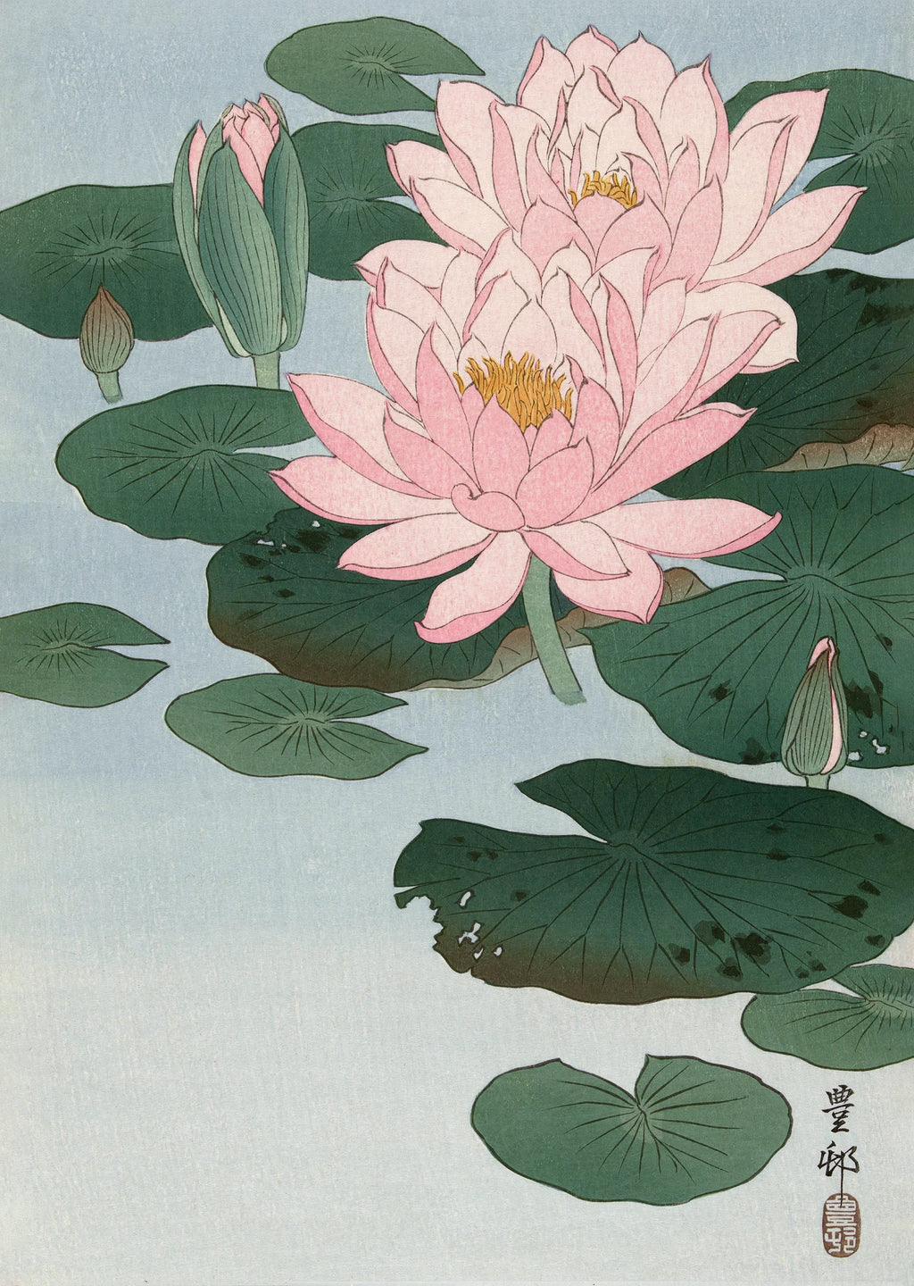 Water Lilies (睡蓮) - Japanese Art Print