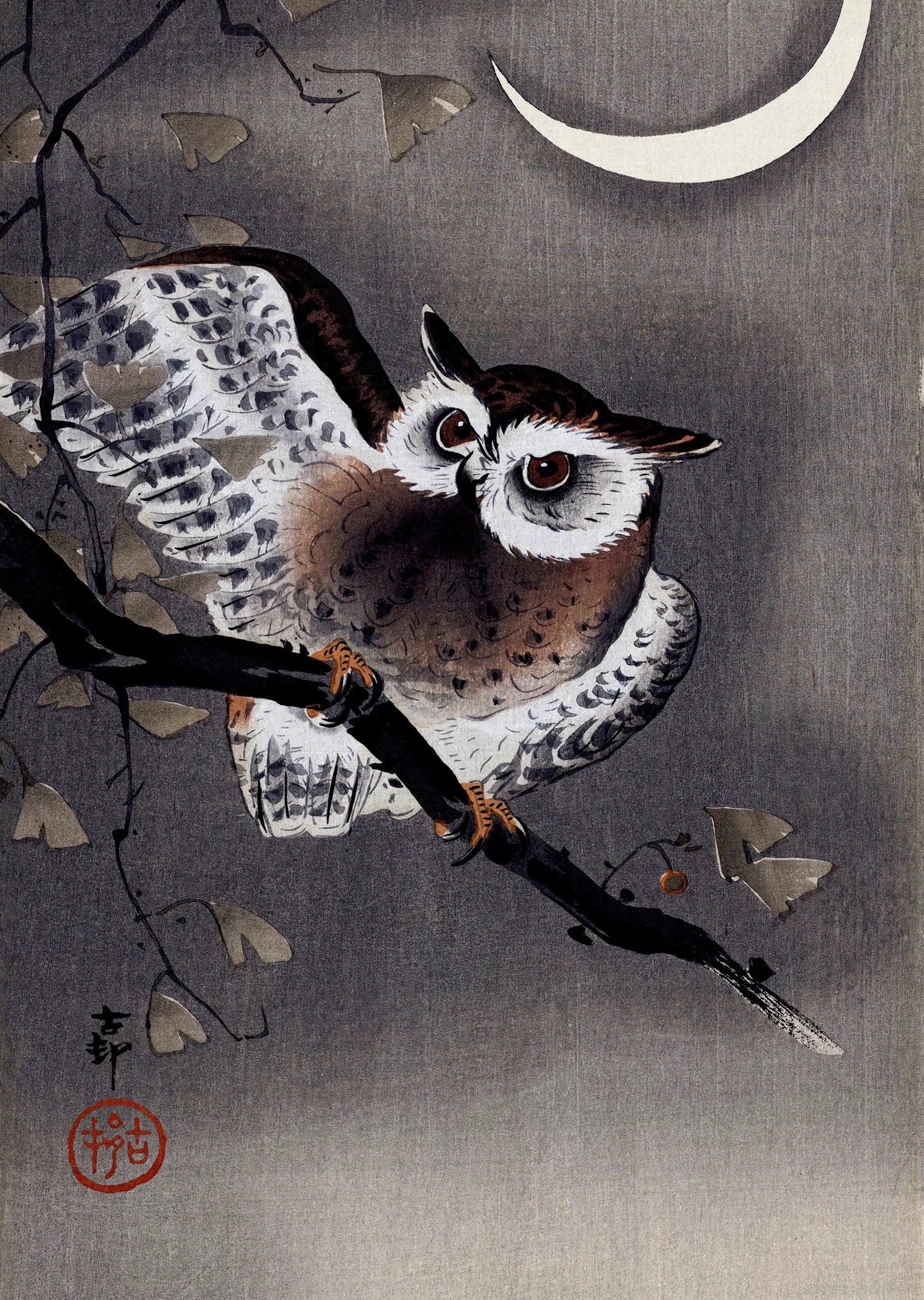 Long-Eared Owl in Ginkgo - Japanese Art Print