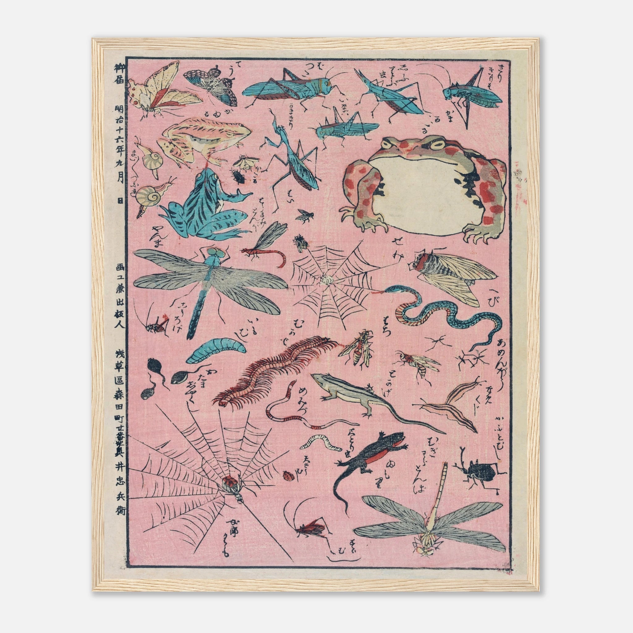 New Print of Insects and Small Creatures (Framed) - Art Print Detail 20