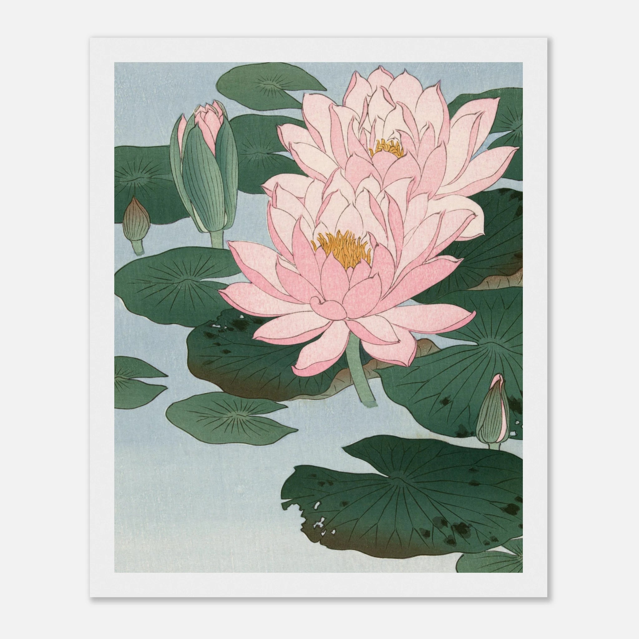 Water Lilies (睡蓮) - Japanese Art Print