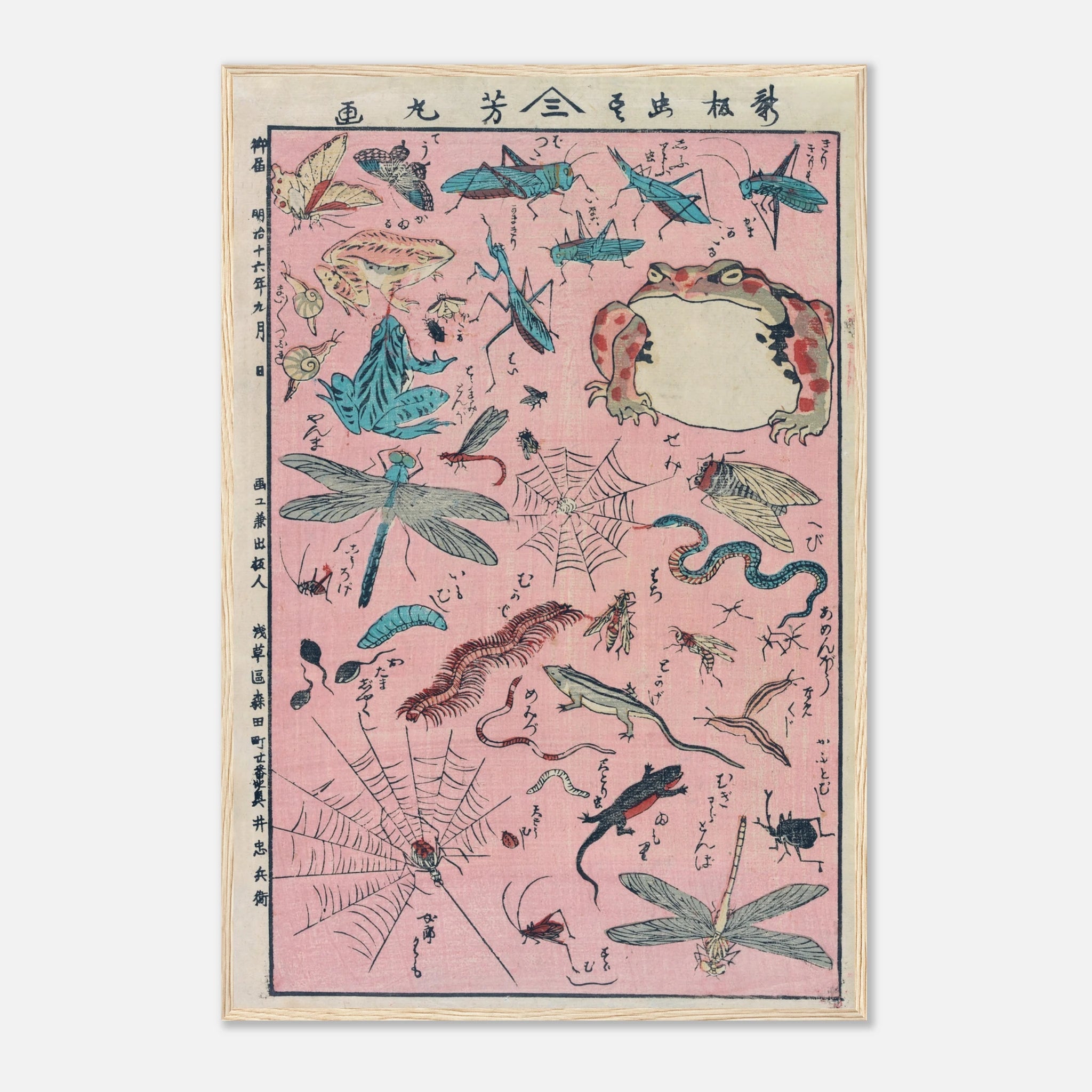 New Print of Insects and Small Creatures (Framed) - Art Print Detail 12
