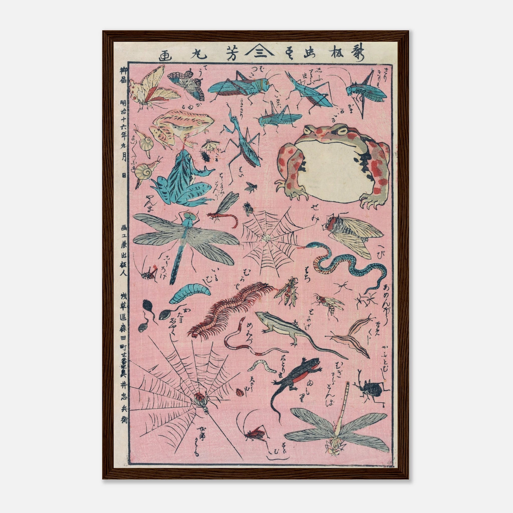 New Print of Insects and Small Creatures (Framed) - Art Print Detail 7