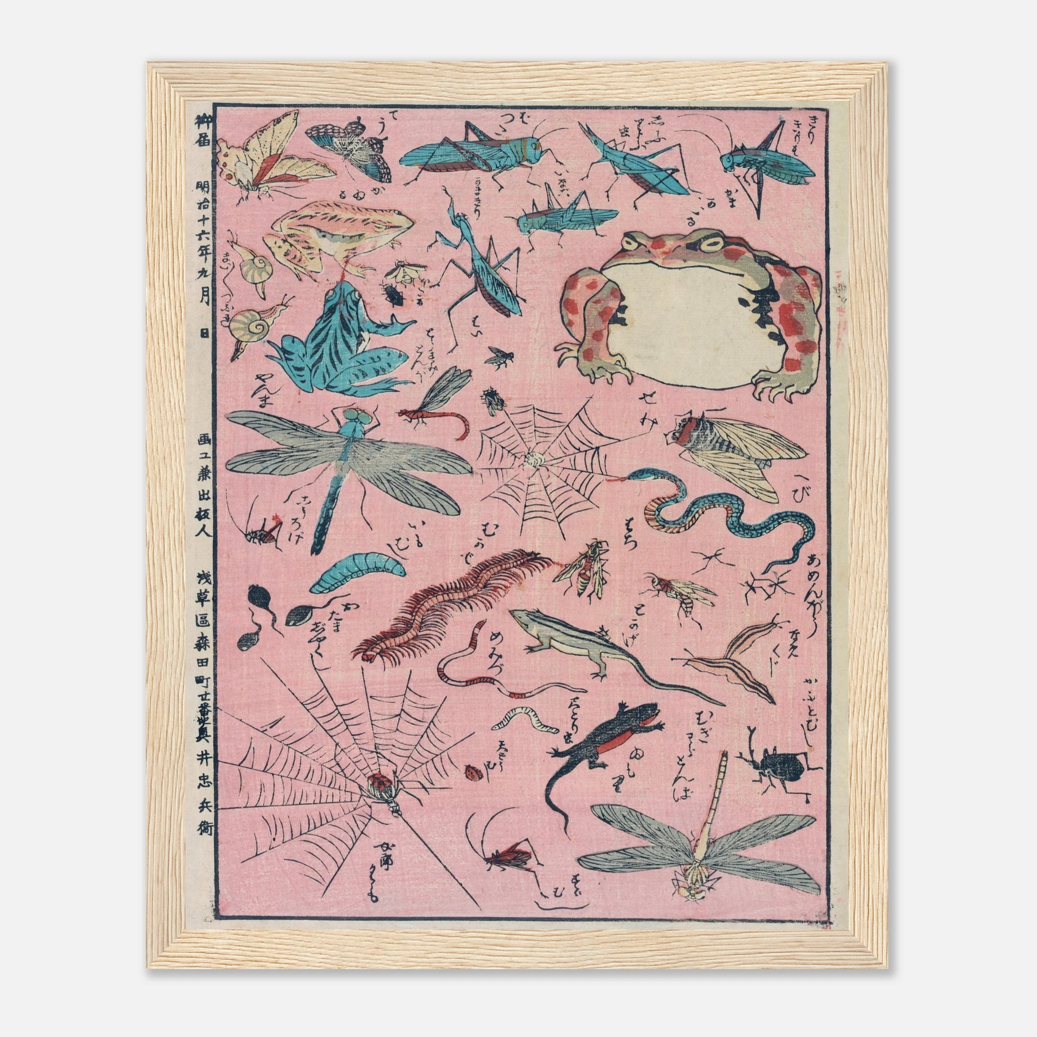 New Print of Insects and Small Creatures (Framed) - Art Print Detail 19