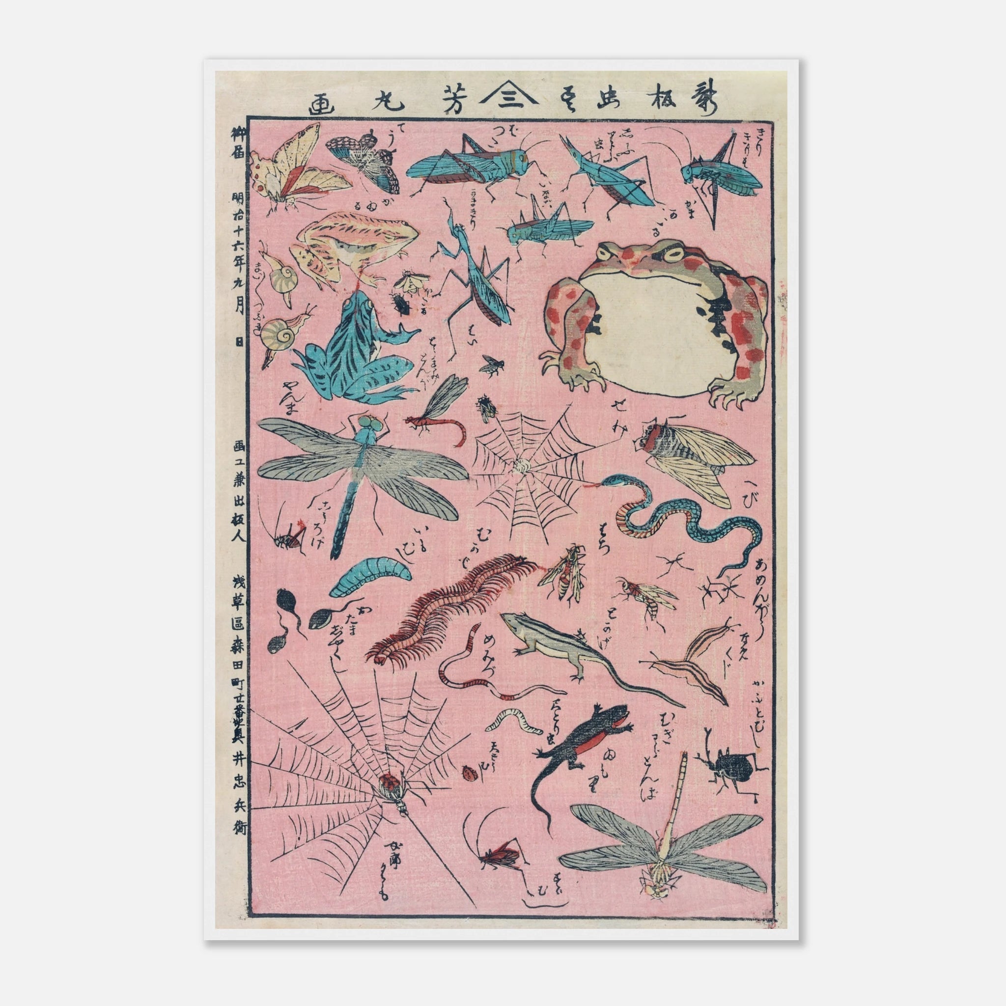 New Print of Insects and Small Creatures (Framed) - Art Print Detail 2