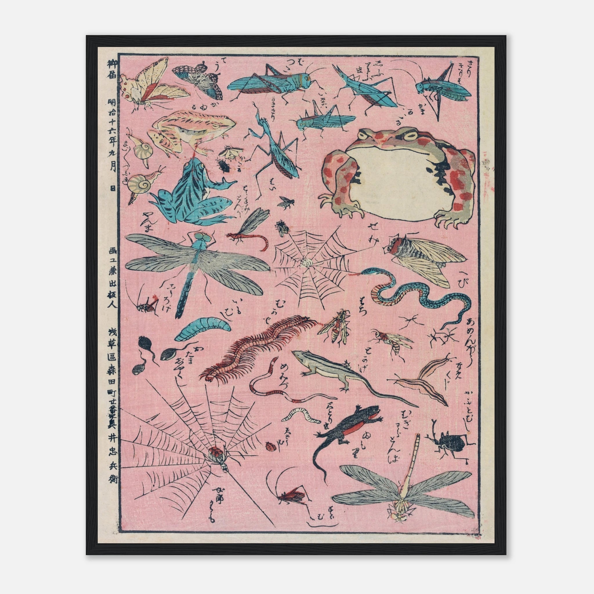 New Print of Insects and Small Creatures (Framed) - Art Print Detail 17