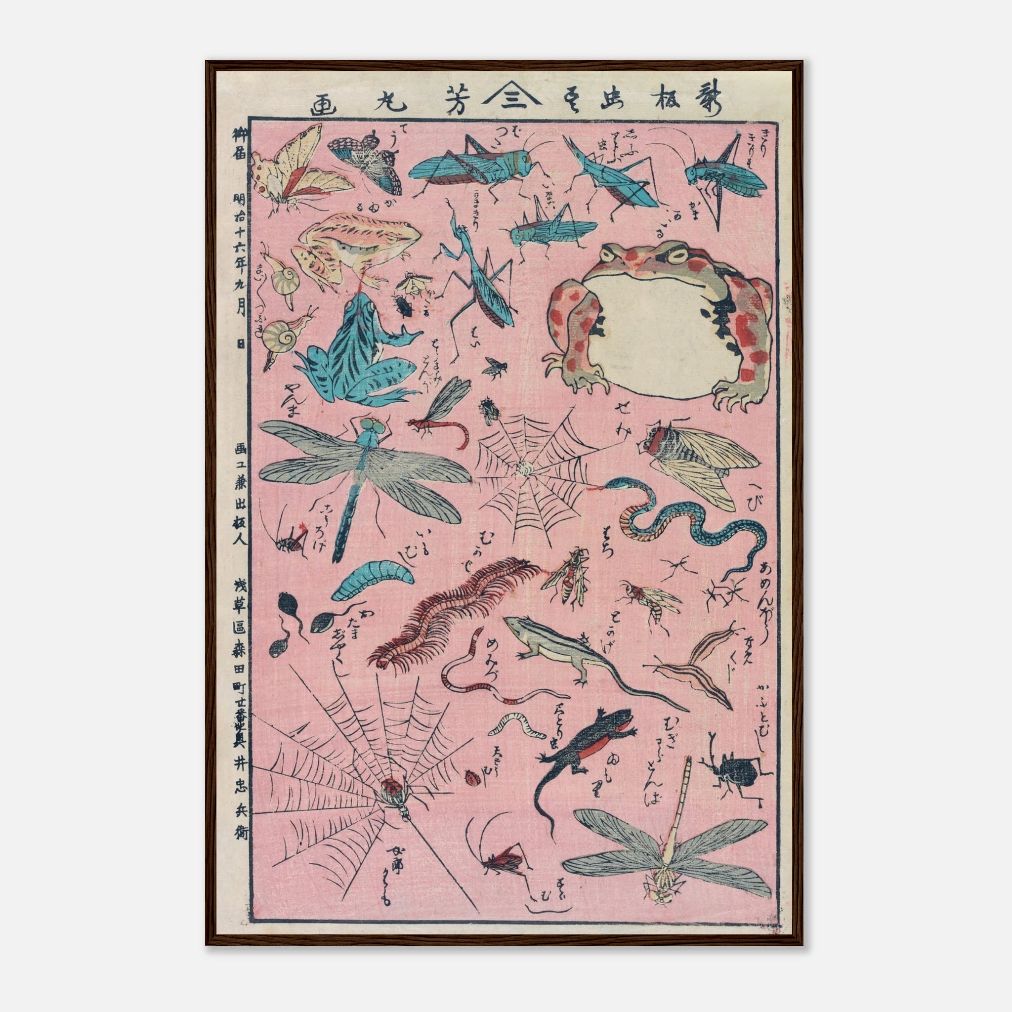 New Print of Insects and Small Creatures (Framed) - Art Print Detail 6