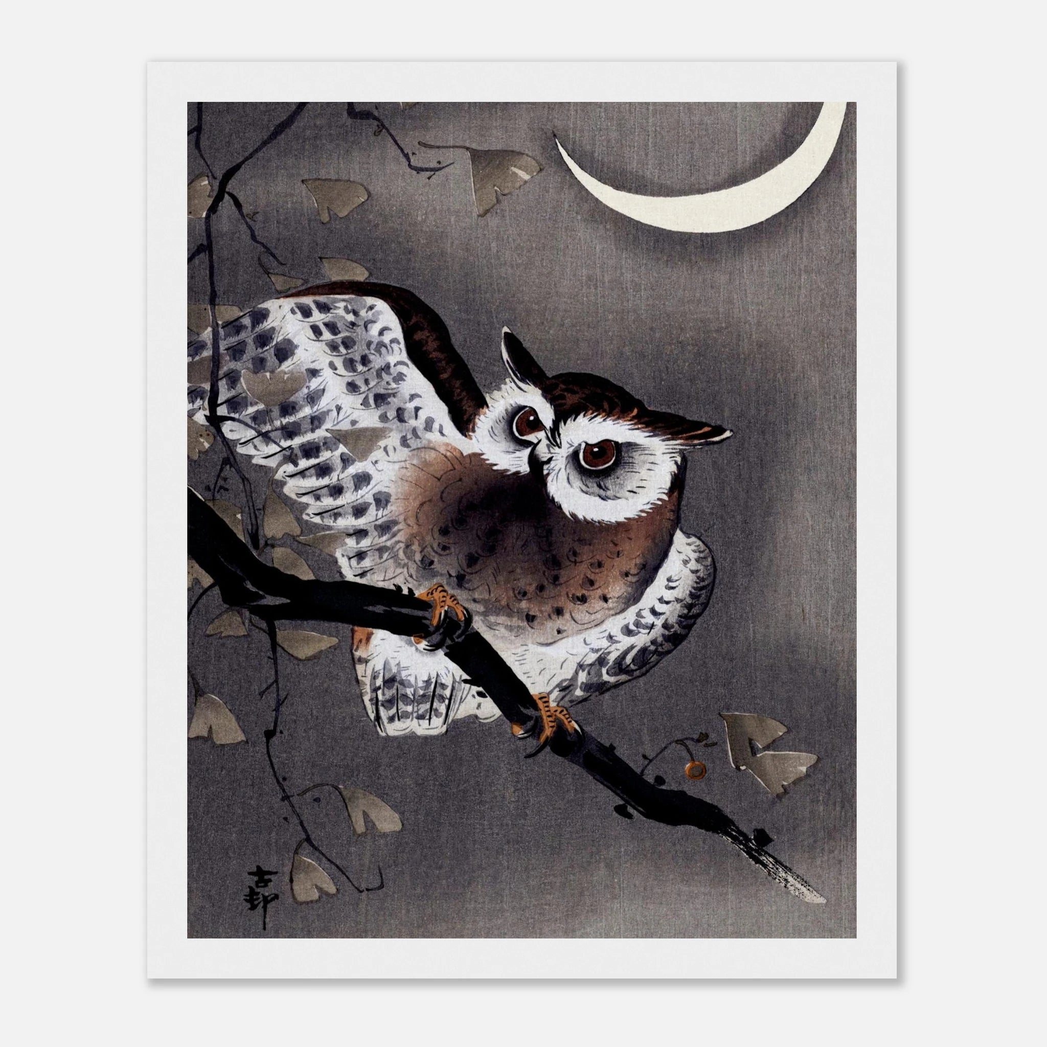 Long-Eared Owl in Ginkgo - Japanese Art Print