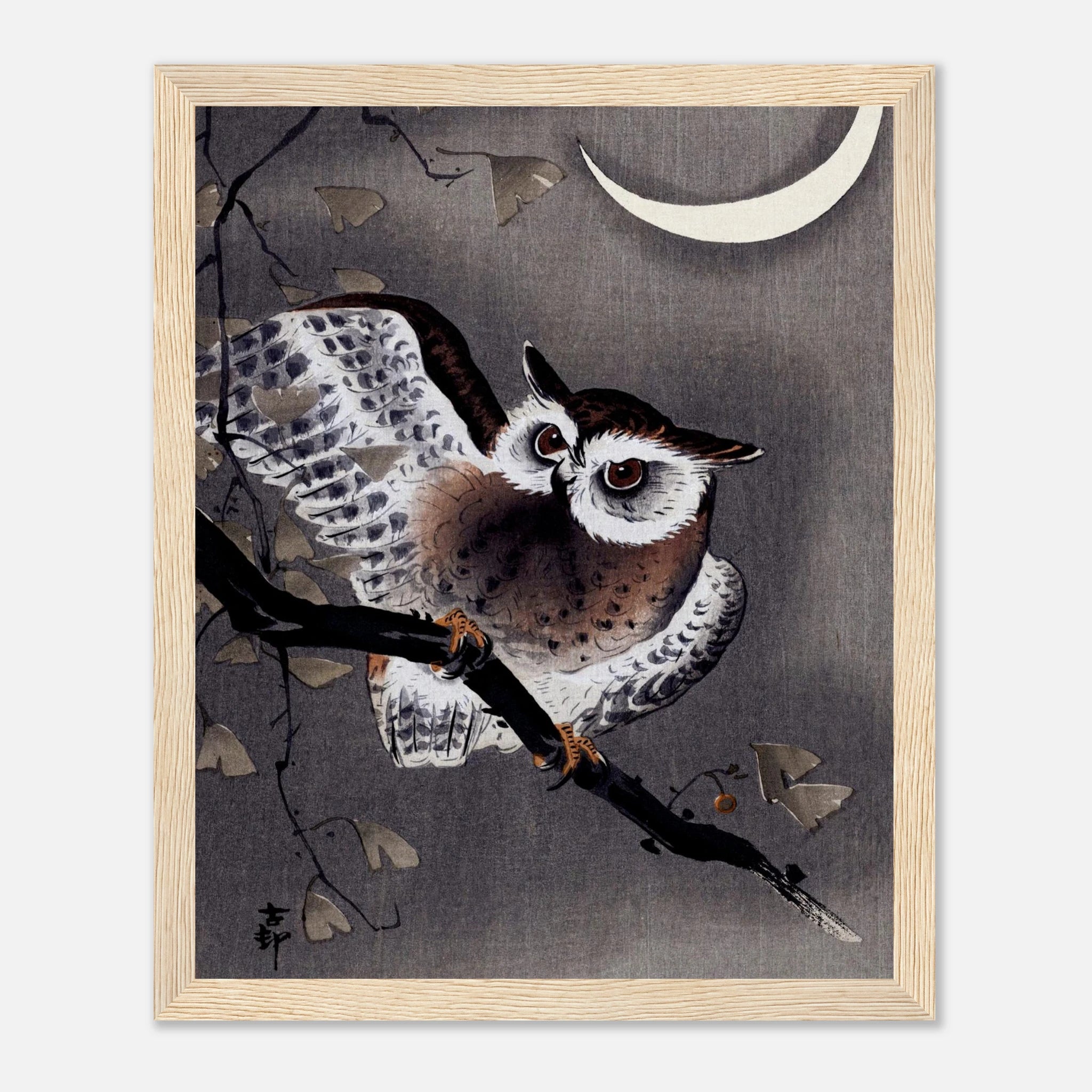 Long-Eared Owl in Ginkgo - Art Print Detail 14