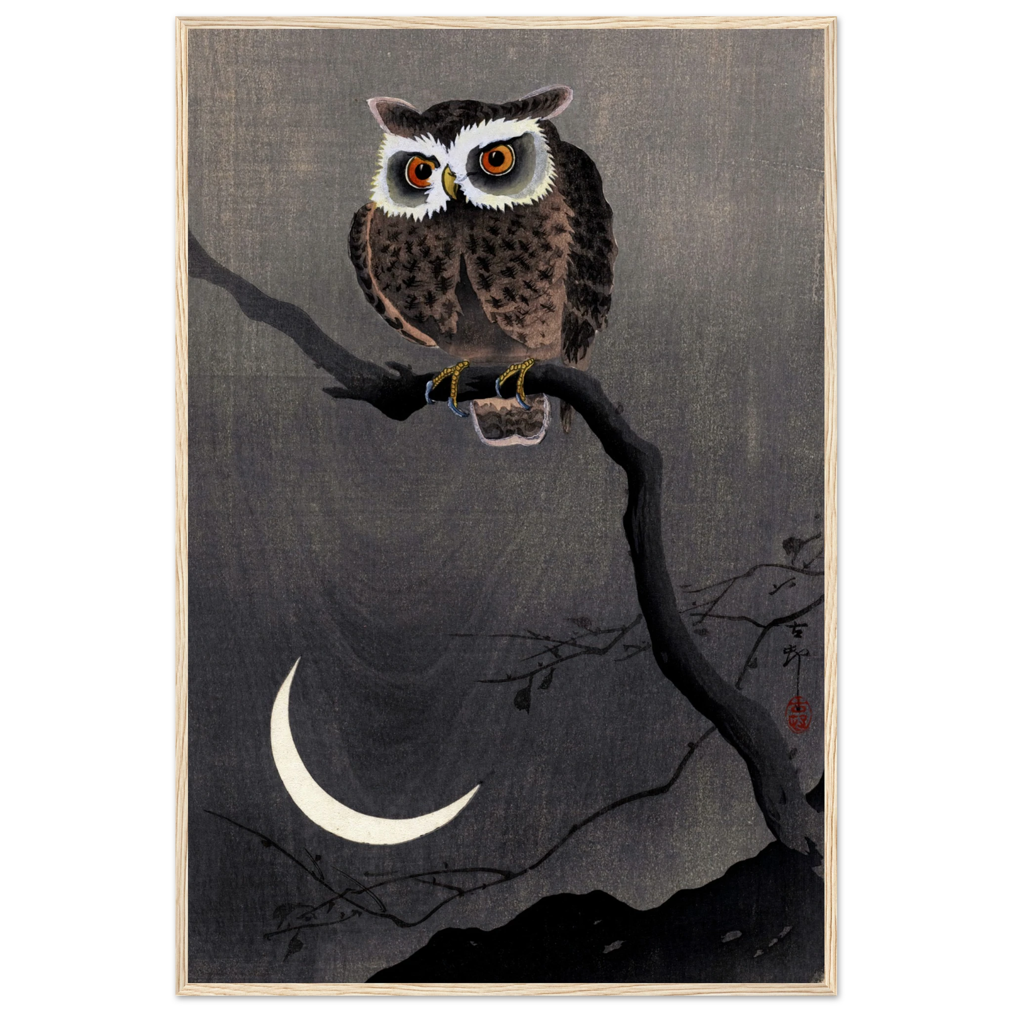 Long-eared Owl on Bare Tree Branch - Art Print Detail 14