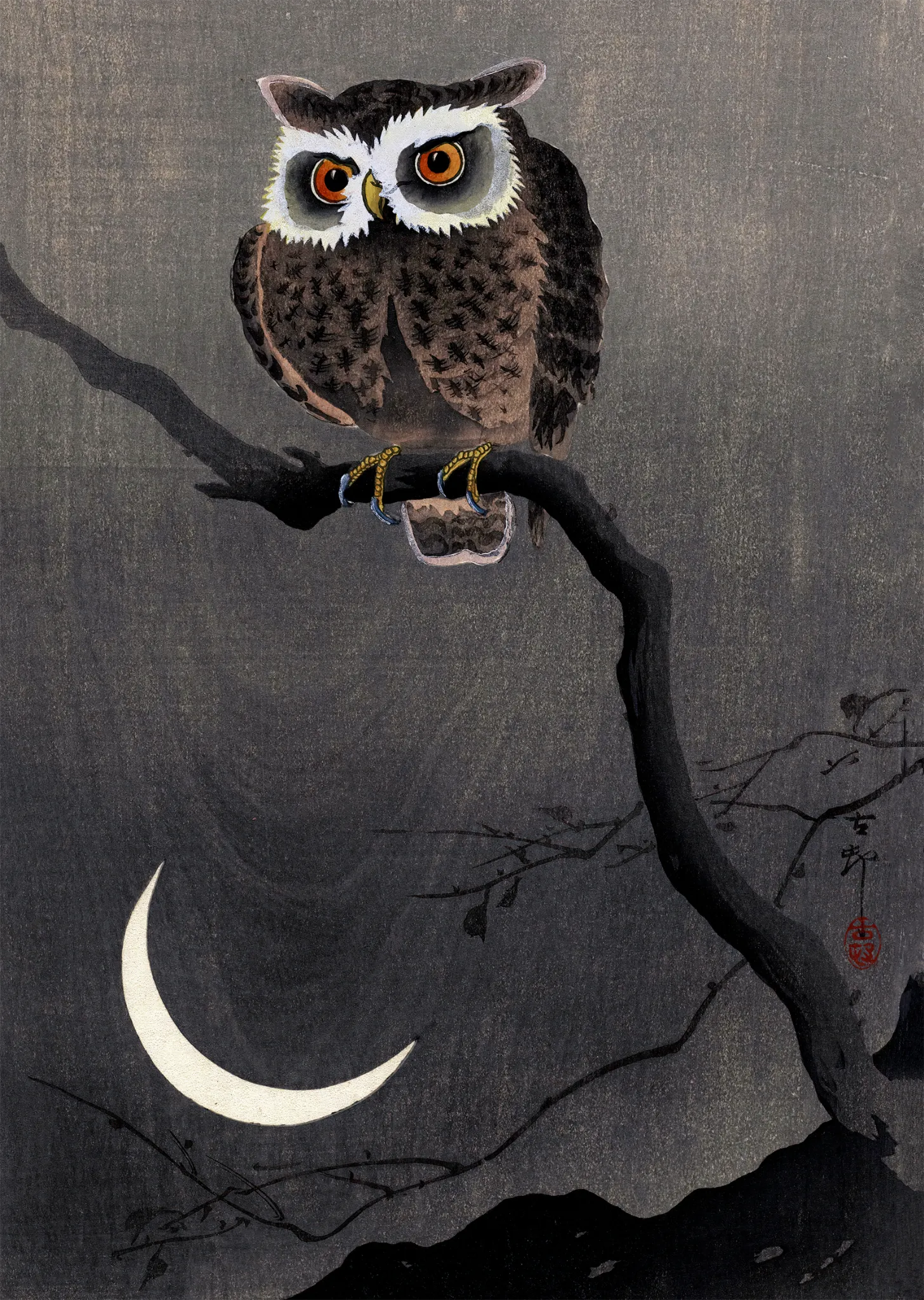 Long-eared Owl on Bare Tree Branch - Japanese Art Print